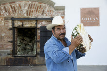 Laden Sie das Bild in den Galerie-Viewer, Volcan de mi Tierra Anejo Christalino 70 cl